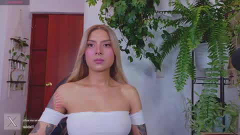 yeriawaddell  online show from 26, 3, 2026