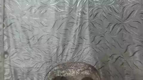 yhang_19 online show from 15, 12, 2024