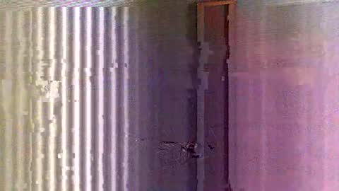 Snapshot of yorel64 chatting on 16, 2, 2025 yorel64 online show from 16, 2, 2025