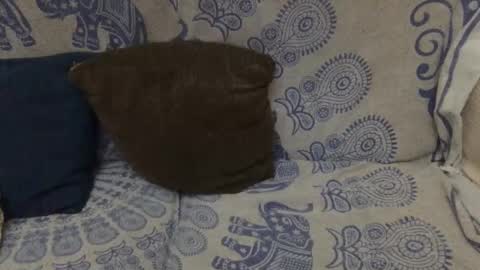 Snapshot of yosoyplex91 chatting on 11, 1, 2026 AlexBlack online show from 11, 1, 2026