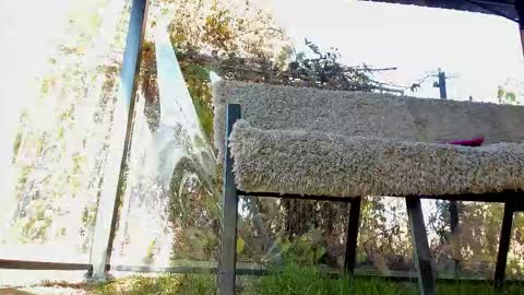 private on 18 per minute start private 500 tokensOnlyfans  online show from 2, 11, 2025