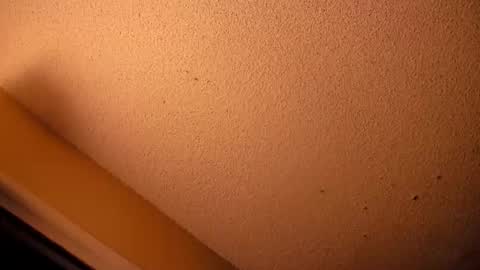 Snapshot of your_king_of_hearts chatting on 22, 5, 2026 Sophiestar online show from 22, 5, 2026