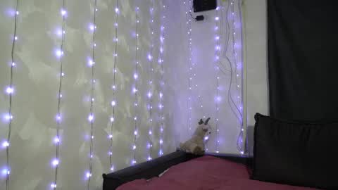 Snapshot of your_little_flexible_girl chatting on 20, 2, 2026 Meri online show from 20, 2, 2026