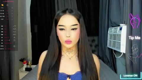 kim online show from 28, 7, 2026