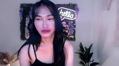    online show from 12, 3, 2025