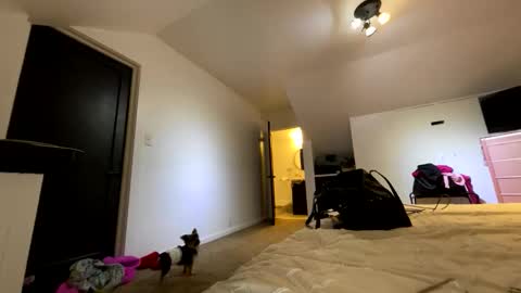 BbyTSSLut online show from 21, 11, 2025