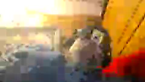Snapshot of z0rl0c chatting on 1, 8, 2026 Z0RL0C online show from 1, 8, 2026