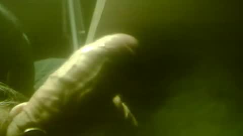 Snapshot of zaboski4 chatting on 1, 12, 2025 zaboski4 online show from 1, 12, 2025