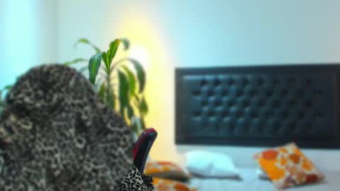 Snapshot of zachpri20 chatting on 24, 9, 2025 zachpri20 online show from 24, 9, 2025