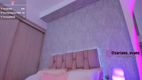 Snapshot of zarianaevanz chatting on 31, 12, 2024 Zariana online show from 31, 12, 2024