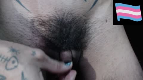 Zeldris online show from 14, 12, 2024