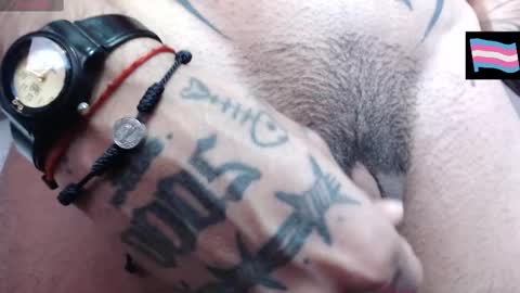 Zeldris online show from 8, 3, 2025