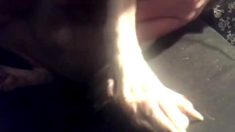 Snapshot of zeroandhero chatting on 7, 3, 2025 zero online show from 7, 3, 2025