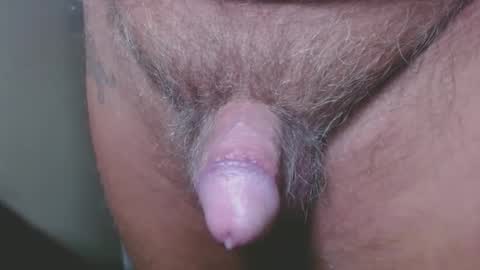 bambi cumslut online show from 6, 12, 2024