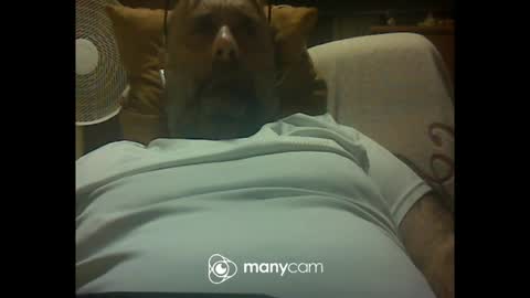 zeusdioss online show from 8, 7, 2026