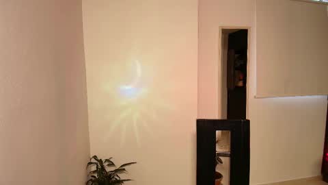 Zhara online show from 13, 11, 2025