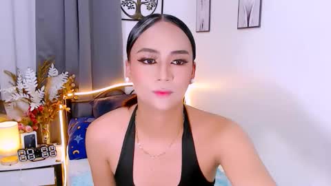 Zia online show from 25, 11, 2025