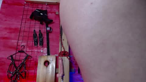 zoe_ferrer7 online show from 16, 4, 2026