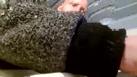 Snapshot of zolexthomas chatting on 26, 1, 2025 zolexthomas online show from 26, 1, 2025