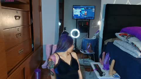 zpzphot online show from 1, 4, 2026