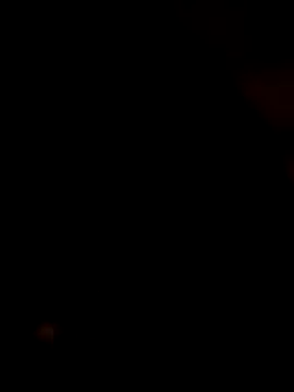 rajstrip12650 online show from 4, 3, 2025