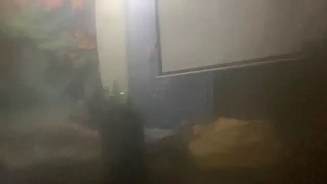 Fr4nk1eFFuxxx online show from 14, 3, 2026