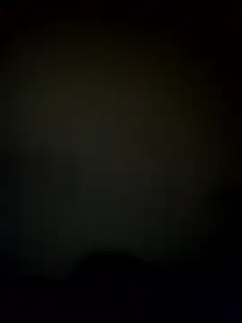 majdachy008 online show from 28, 2, 2026