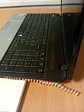 Linda Gregory online show from 2, 3, 2026