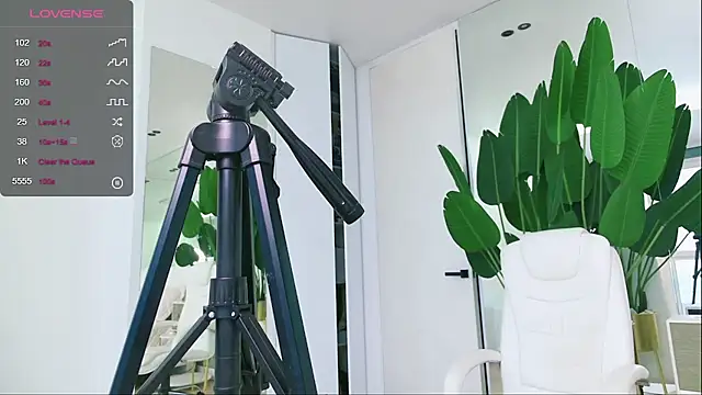 Snapshot of wowEva chatting on 31, 1, 2025 wowEva online show from 31, 1, 2025