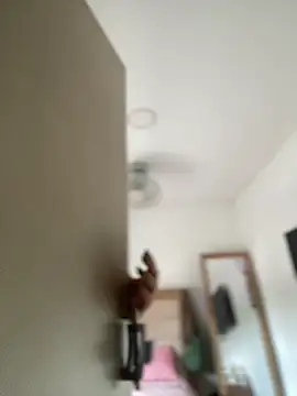 Lia flowers online show from 2, 3, 2025