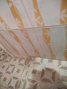 Sanjaymartin29 online show from 21, 3, 2025