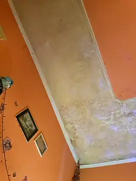 ducicsajsziii online show from 10, 1, 2025