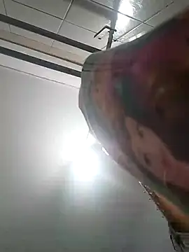 bruna safadinhaa online show from 2, 12, 2024