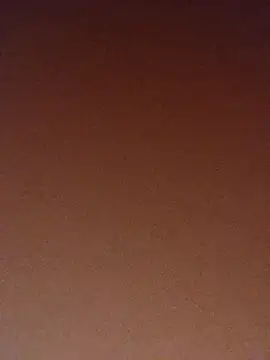 Snapshot of pinaxpack1 chatting on 3, 11, 2025 pinaxpack1 online show from 3, 11, 2025