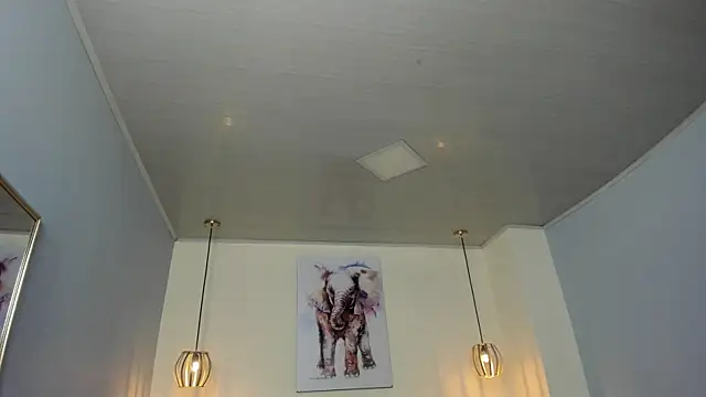 ayshel   online show from 11, 4, 2026