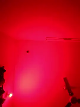 Snapshot of ZIMMY25 chatting on 8, 1, 2026 ZIMMY25 online show from 8, 1, 2026