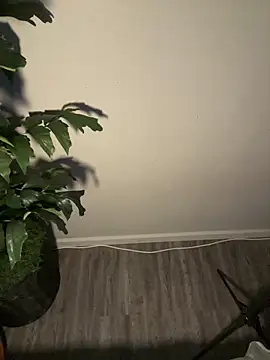 demonslayerr999 online show from 11, 3, 2025