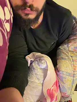 Snapshot of BigEgyptianDiick chatting on 11, 2, 2026 BigEgyptianDiick online show from 11, 2, 2026