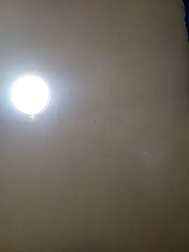 TrainedFinder5 online show from 14, 11, 2025