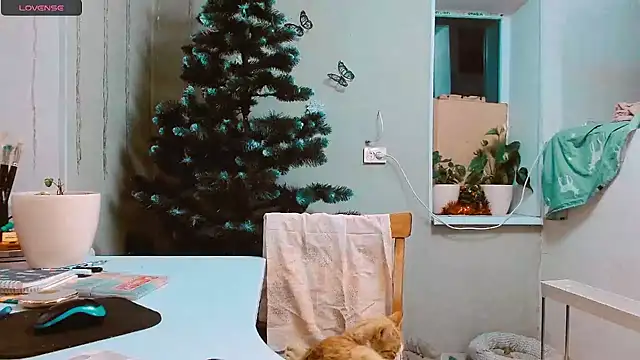 RosaJil online show from 17, 12, 2024