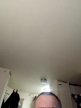 littleChop33 online show from 5, 3, 2026