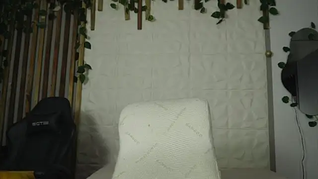 argiee taylorxs2 online show from 28, 1, 2025