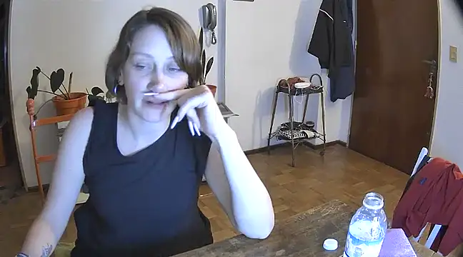 stupid babybird online show from 29, 12, 2024