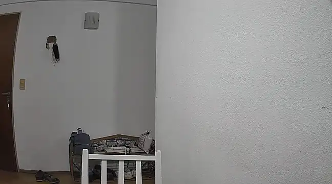 stupid babybird online show from 18, 1, 2025