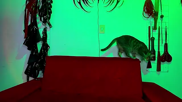 Snapshot of irregular_fetish_ chatting on 19, 2, 2026 irregular fetish online show from 19, 2, 2026