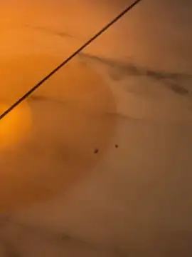 Mia Novikov online show from 7, 3, 2026