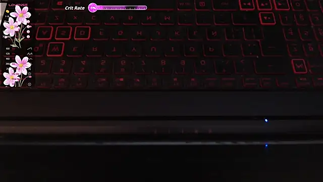 camilita08 online show from 11, 3, 2026