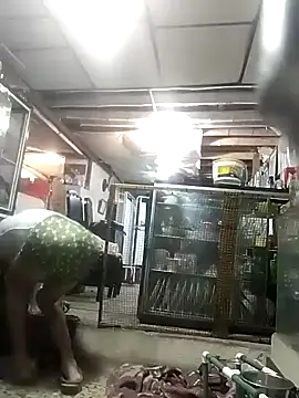 cristalzeus online show from 15, 12, 2025