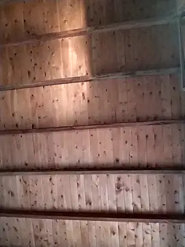 Snapshot of Carabina1991 chatting on 23, 2, 2026 Carabina1991 online show from 23, 2, 2026