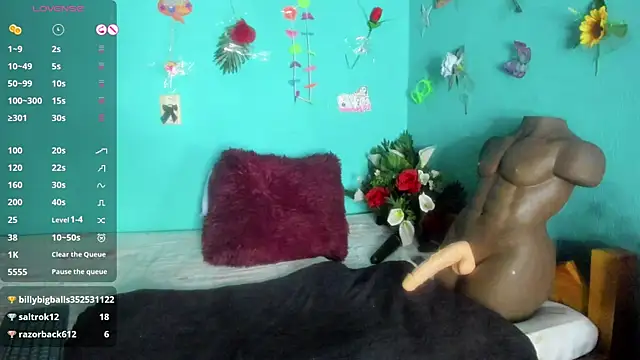 Snapshot of SheraHadee chatting on 1, 4, 2026 SheraHadee online show from 1, 4, 2026